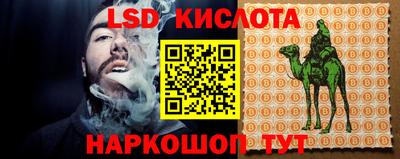mdpv Новозыбков