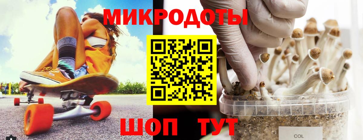 сколько стоит  Галлюциногенные грибы Magic Shrooms  Вход с VPN  Шадринск  Псилоцибиновые грибы прущие грибы 